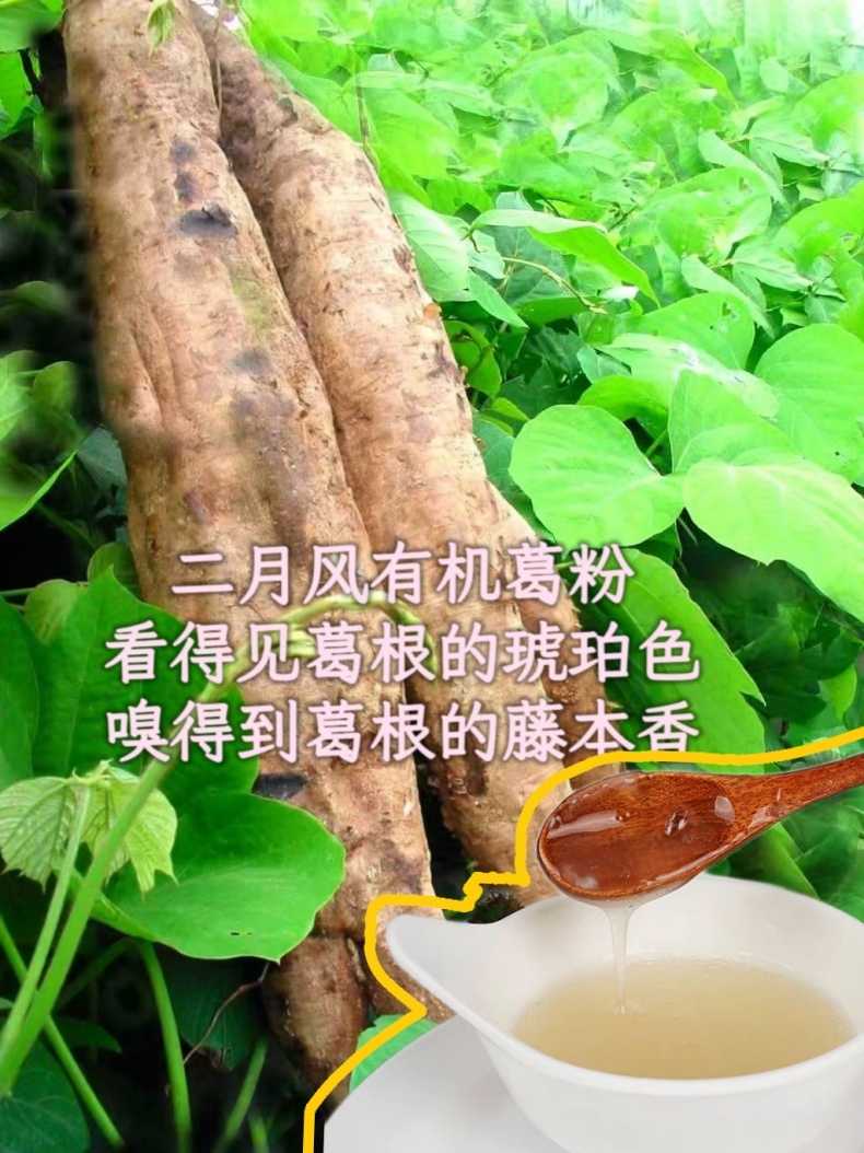 二月風(fēng)有機(jī)葛粉，看得見葛根的琥珀色，嗅得到葛根的藤本香_790.jpg