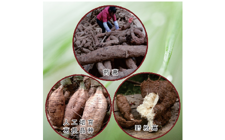 買葛粉是買野生的好？還是野生有機的好？