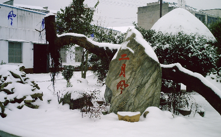 二月風(fēng)致老友：一碗葛根粉的牽掛，農(nóng)博會上的重逢之約二月風(fēng)盼老友：農(nóng)博會上，再續(xù)葛粉情緣