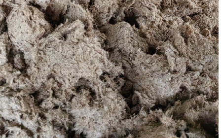 深入大洪山，只為一口純凈 -二月風今冬野生葛根收購紀實